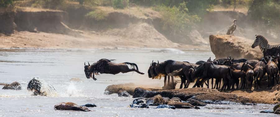 Nairobi: Day Trip to Maasai Mara Reserve & Maasai village - The long return to Nairobi