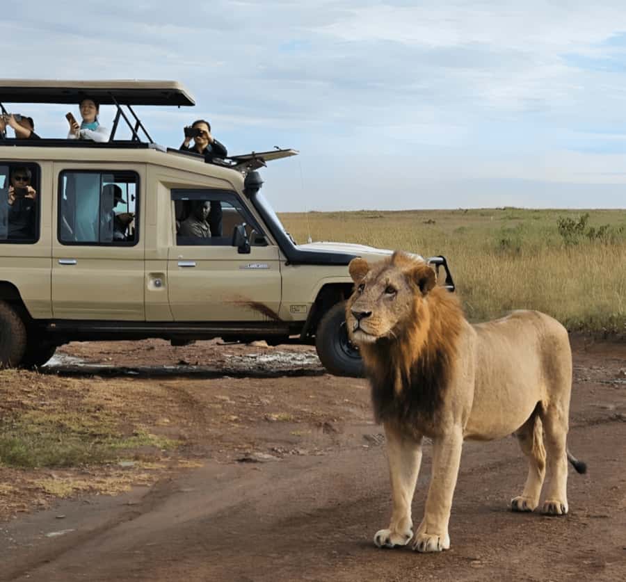 Nairobi: Nairobi National Park Half-Day Game Drive - Key points to know before booking