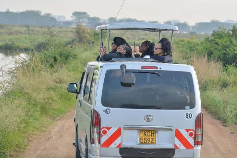 Nairobi: Nairobi National Park Half-Day Game Drive - Pickup from Nairobi and the ride to the park