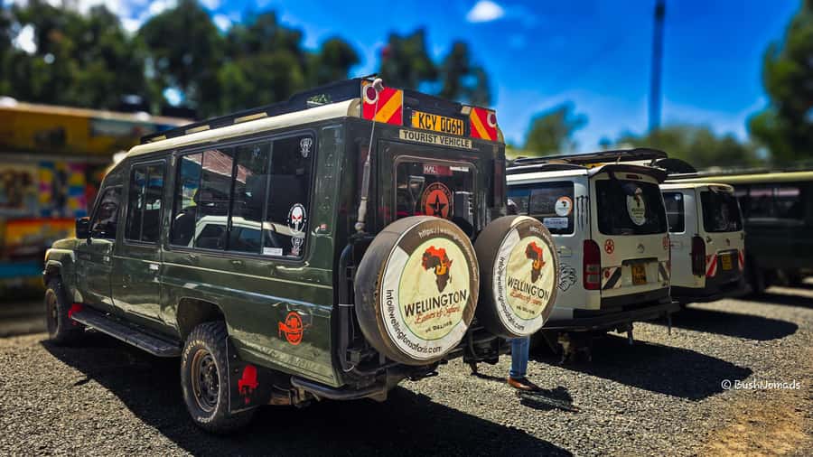 Nairobi National Park 5-hour Guided Game Drive Free Pick up - The Kobe Tough beads and leather stop
