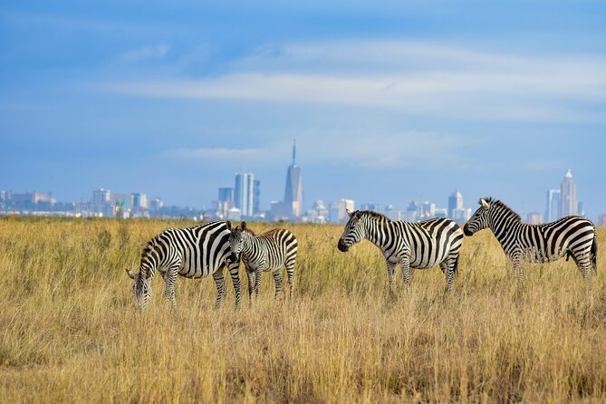 Nairobi: National Park Early Morning or Afternoon Game Drive - What the $30 price does and does not cover