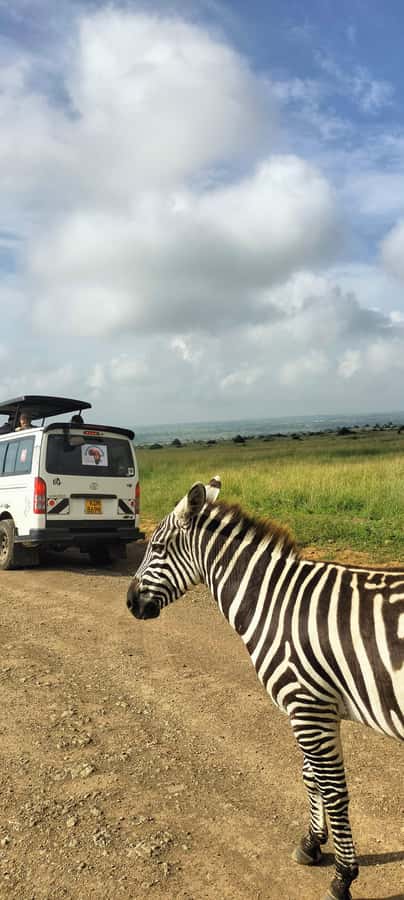 Nairobi National Park Half-Day Guided Game Drive With Pickup - The beadwork stop: useful extra or unwanted detour