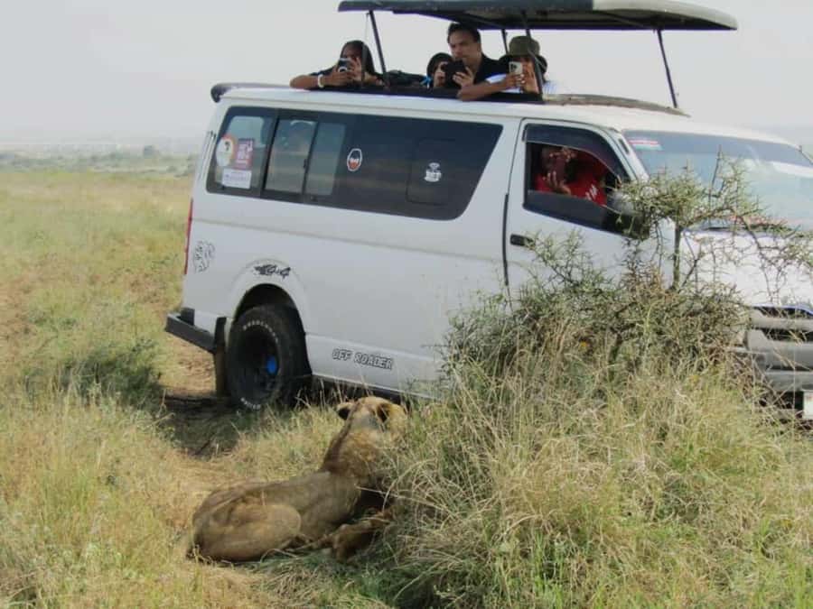 Nairobi National Park Half-Day Guided Game Drive With Pickup - Choose your starting time with care