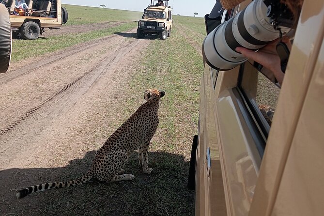 Nairobi Park Wildlife Safari - Why Nairobi National Park makes sense on a short visit