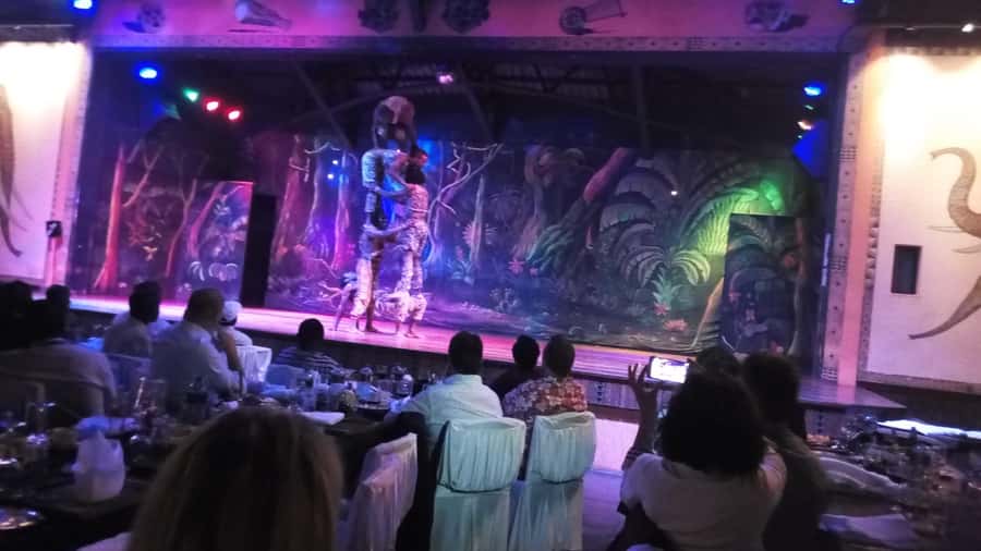 Nairobi: The Safari Cats Show Tickets & Buffet Dinner - The optional casino stop