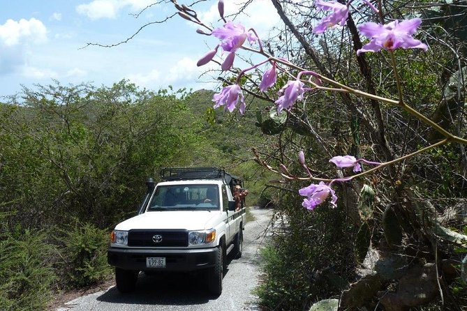 National Park Jeep Safari - From flamingos to Christoffel Mountain in one day