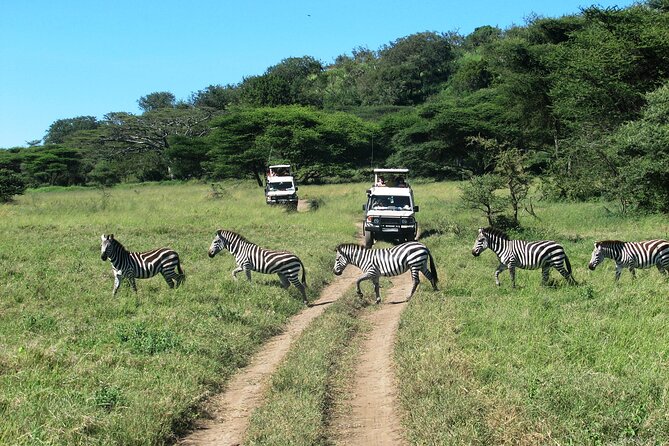 Ngorongoro Crater Day Trip – Shared Group Safari - Hippo pools and close attention to water