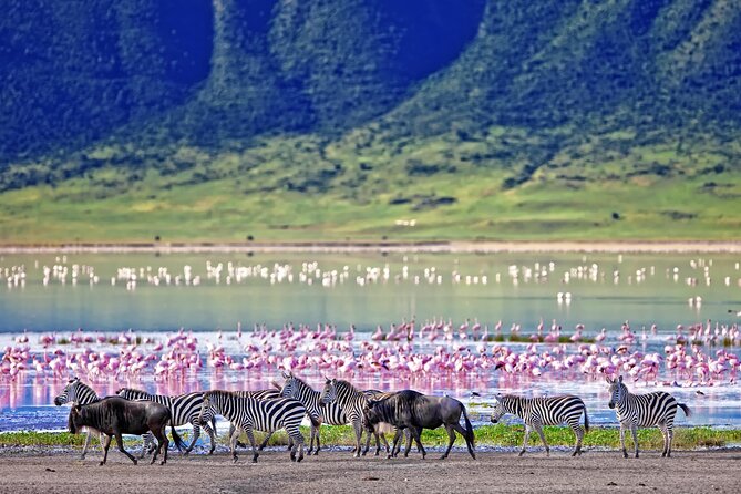 Ngorongoro Crater Day Trip – Shared Group Safari - Maasai culture and the limits of this day trip