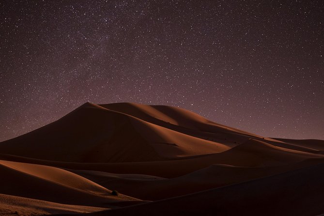 Night Desert Safari | Sand Boarding || Camel Ride || Inland Sea - The Doha pickup and 45-minute ride south