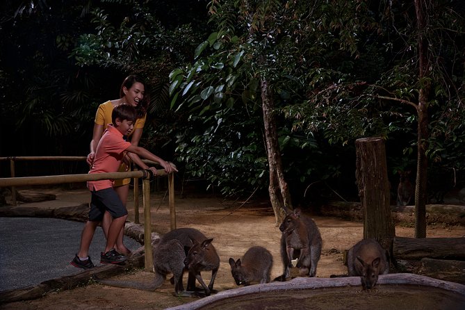 Night Safari Tour with Transfer - Crowds are the biggest factor in value
