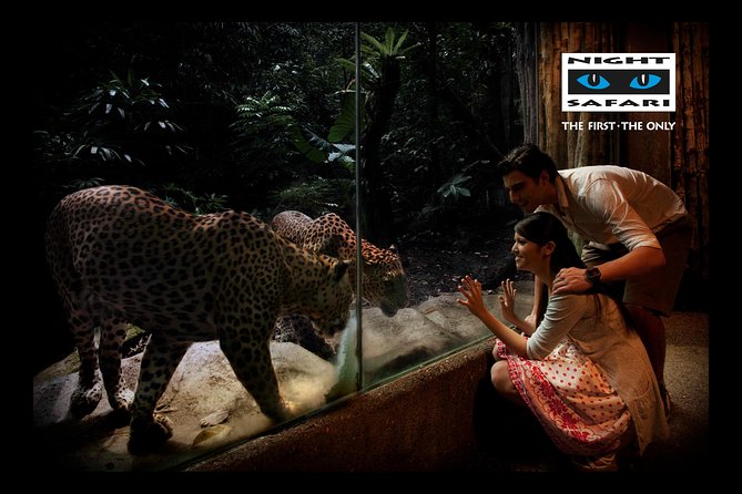 Night Safari Tour with Transfer - Who will enjoy this most