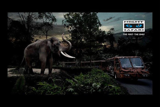 Night Safari Tour with Transfer - Hotel pickup helps, but the evening can start slowly