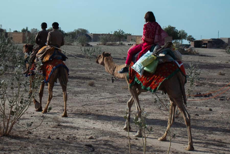 Nomadic Non-Touristic Overnight Camel & Desert Safari Tour - What $34 buys you