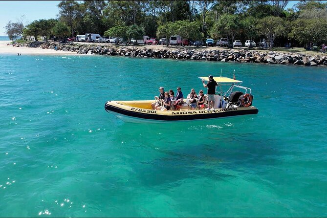 Noosa: Ocean Adventure & Dolphin Safari - Key points to know before you book