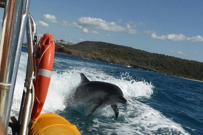 Noosa: Ocean Adventure & Dolphin Safari - A fast introduction to Noosa’s ocean side