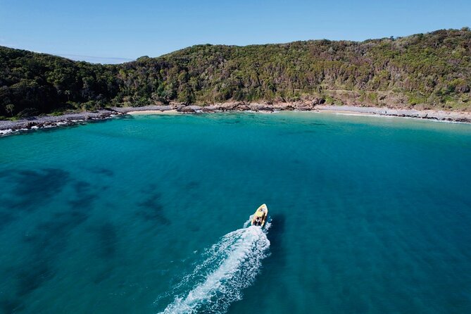 Noosa: Ocean Adventure & Dolphin Safari - Boiling Pot and Dolphin Point