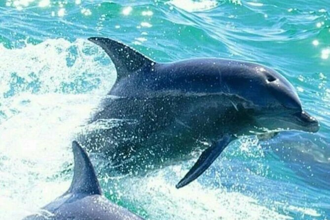 Noosa: Ocean Adventure & Dolphin Safari - Hell’s Gates and the Noosa National Park coast