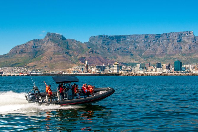 Ocean Safari - A Fast Start From Cape Town’s Waterfront