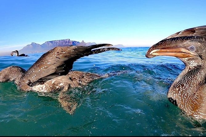 Ocean Safari - Why the Small Group Helps