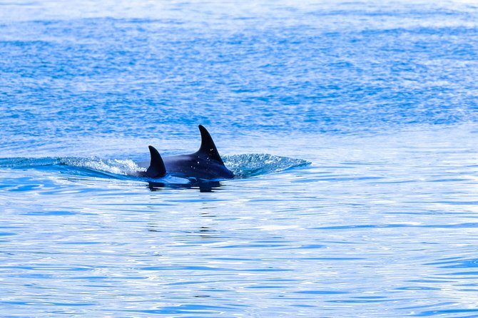 Ocean Safari - Weather and Sea Conditions Matter Most