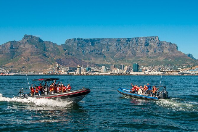 Ocean Safari - Practical Details Before You Book