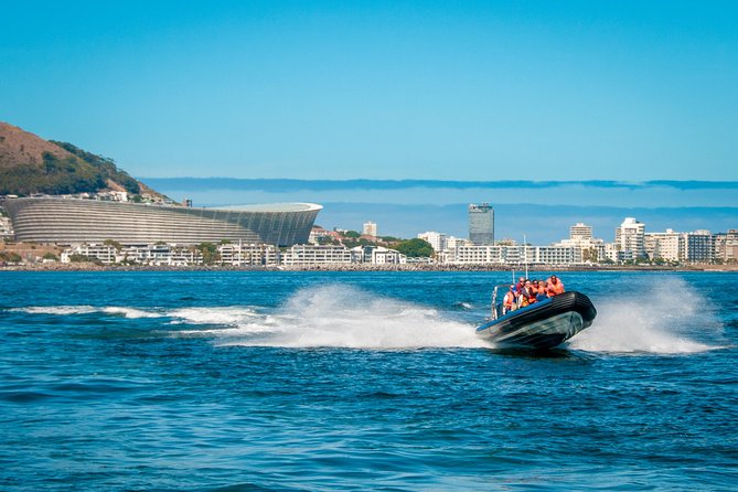 Ocean Safari - Who Will Enjoy This Ocean Safari