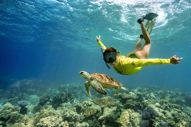 Ocean Safari Great Barrier Reef Experience in Cape Tribulation - Why Cape Tribulation is a special reef departure