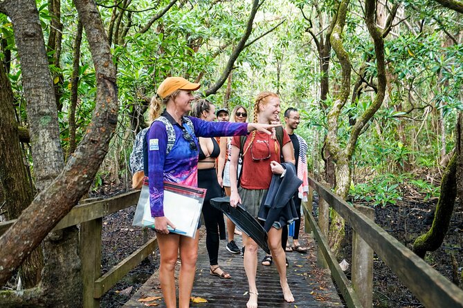 Ocean Safari Great Barrier Reef Experience in Cape Tribulation - What to bring and how to dress