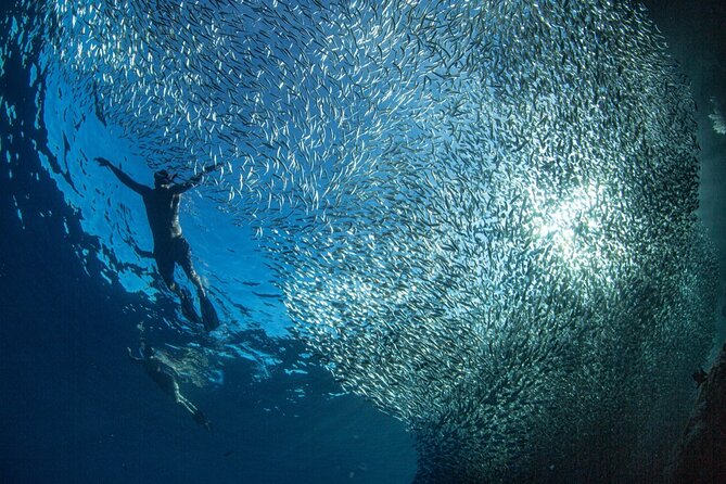 Ocean Safari Tour in Cabo San Lucas - How the Four and a Half Hours Usually Feel