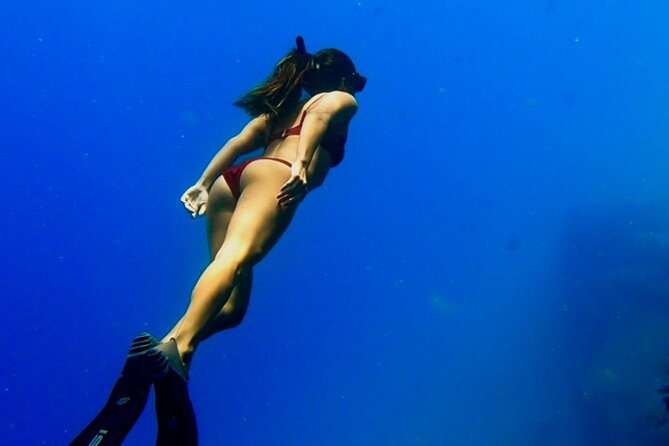 Ocean Safari Tour in Cabo San Lucas - Dolphins, Turtles, Rays, and the Water Entry
