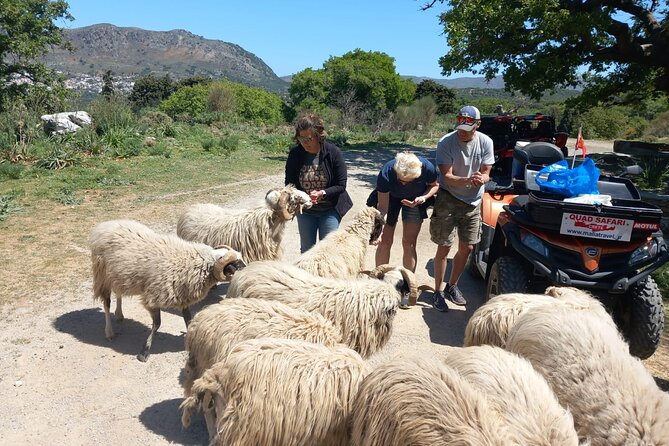 Off-road Buggy Safari in Crete with a Guide - A buggy route that mixes dirt roads and village life