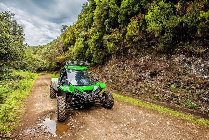 Off-road Buggy Safari in Crete with a Guide - Neapoli and the Vasilakis olive factory