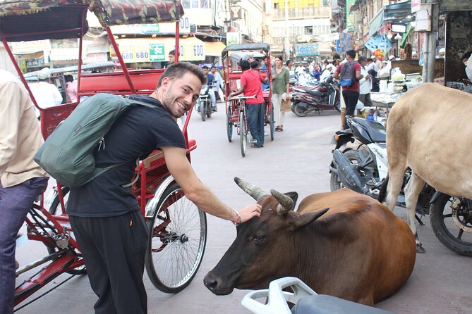 Old Delhi Food Tour Safari - The Capital of Flavors - Starting in Paharganj