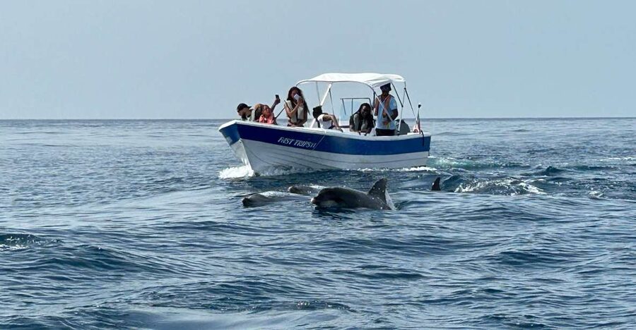 Olhão- Safari Watching Dolphins and other species - The first stretch through the Ria Formosa
