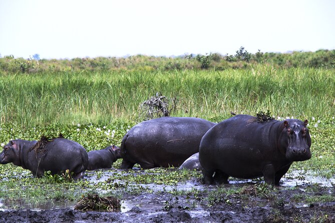 One-day Akagera National Park Game Drive with a Choice 4x4 - Entering Akagera and collecting lunch
