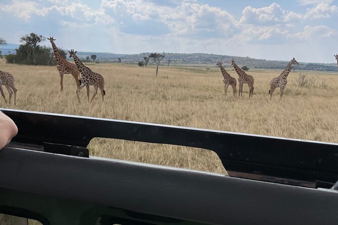 One Day Akagera Wildlife Safari - A 15-minute stop at Imigongo Art Center
