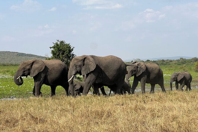 One Day Akagera Wildlife Safari - Entering Akagera National Park
