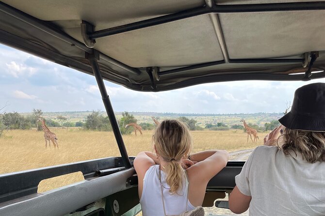 One Day Akagera Wildlife Safari - Lunch beside Lake Mihindi