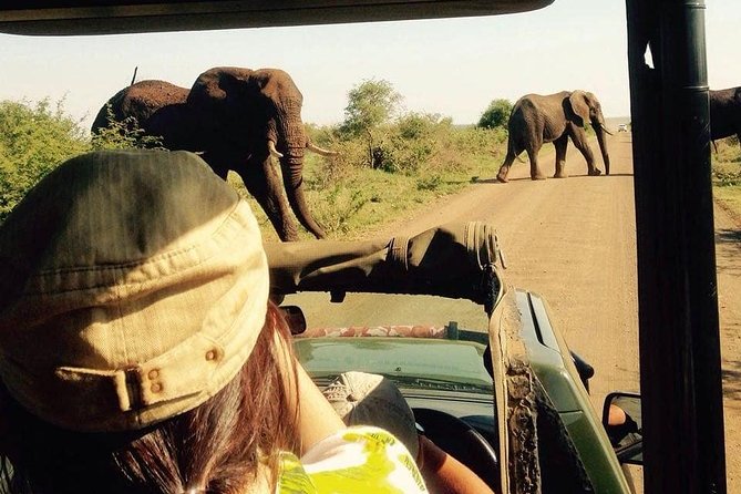Open Vehical Safari in Kruger National Park Half Day - Six hours in Kruger, starting at your lodging