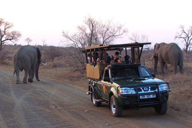 Open Vehical Safari in Kruger National Park Half Day - Weather, timing, and comfort