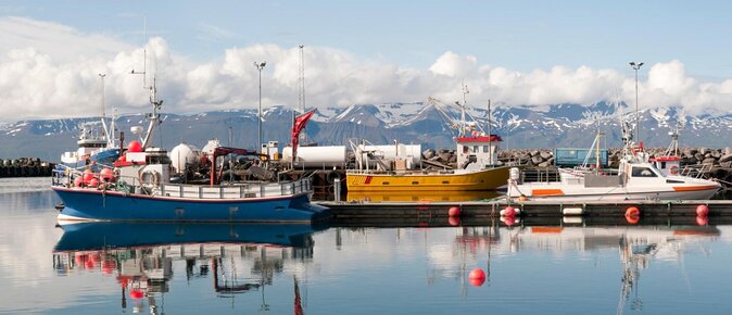 Original Big Whale Safari & Puffins Speedboat Tour from Húsavík - Key points to know before you book