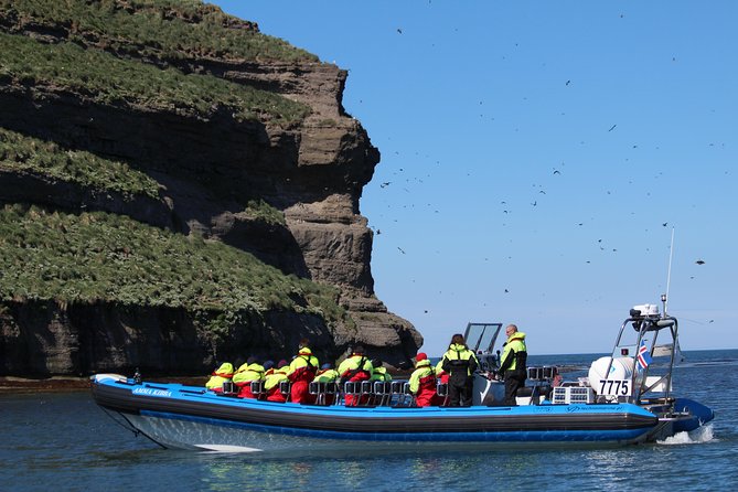 Original Big Whale Safari & Puffins Speedboat Tour from Húsavík - Puffin Island from April 15 through August 15