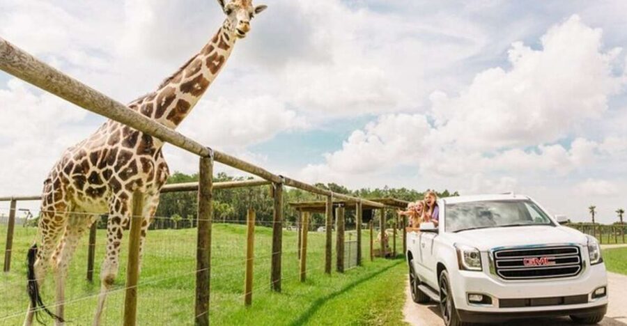 Orlando: Drive-Thru Safari Park at Wild Florida - Key points to know before you go