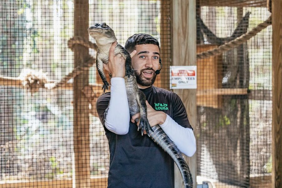 Orlando: Drive-Thru Safari Park at Wild Florida - Is the $35 admission good value?