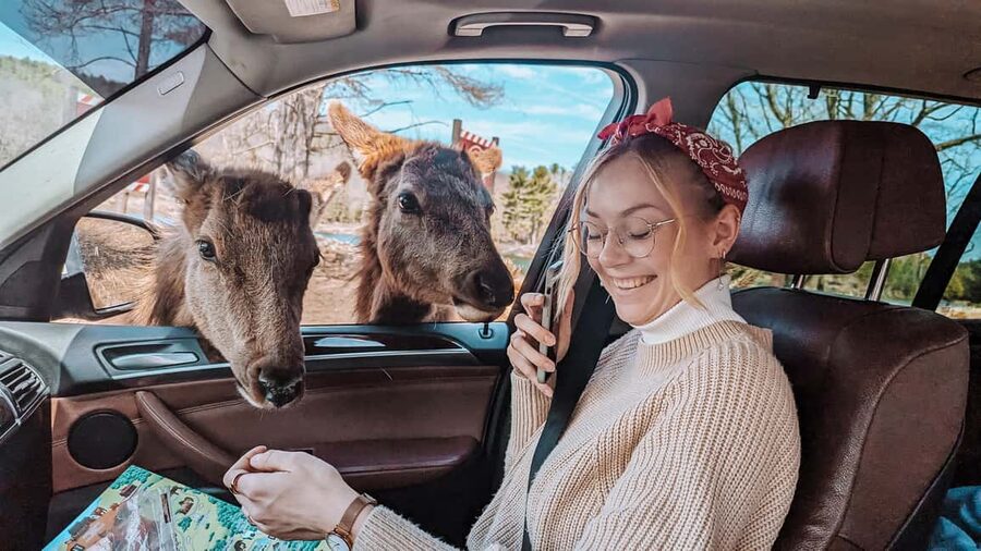 Ottawa: Private Parc Omega Wildlife Safari – Winter Magic - What the $183 price includes