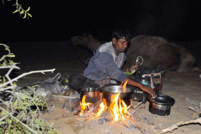 Overnight Camel Safari (remote And Isolated) - Why this remote Thar Desert night feels different