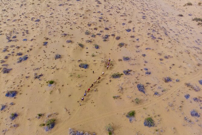 Overnight Camel Safari - Sleeping under the Stars - Key points to know before you book
