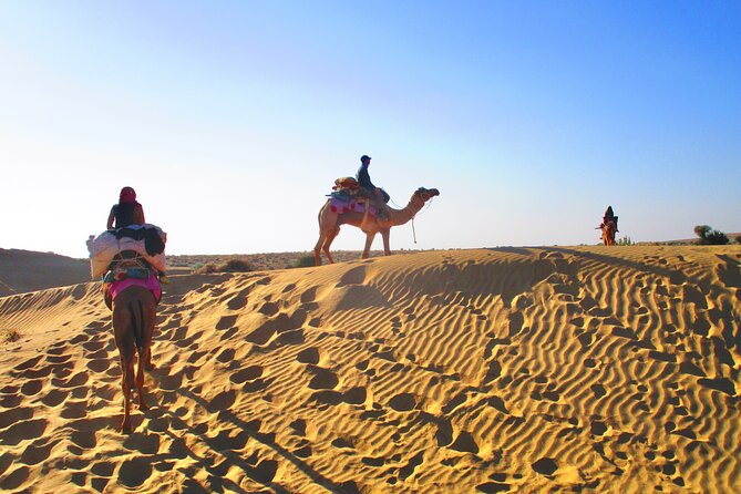 Overnight Camel Safari - Sleeping under the Stars - Leaving Jaisalmer at 1:30 PM