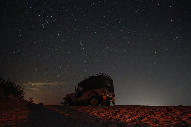 Overnight Camel Safari - Sleeping under the Stars - A traditional vegetarian dinner by the fire