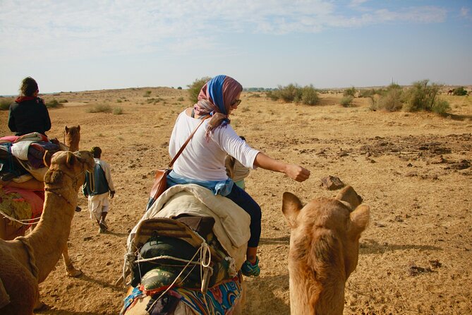 Overnight Camel Safari - Sleeping under the Stars - Khaba Fort and the desert oasis